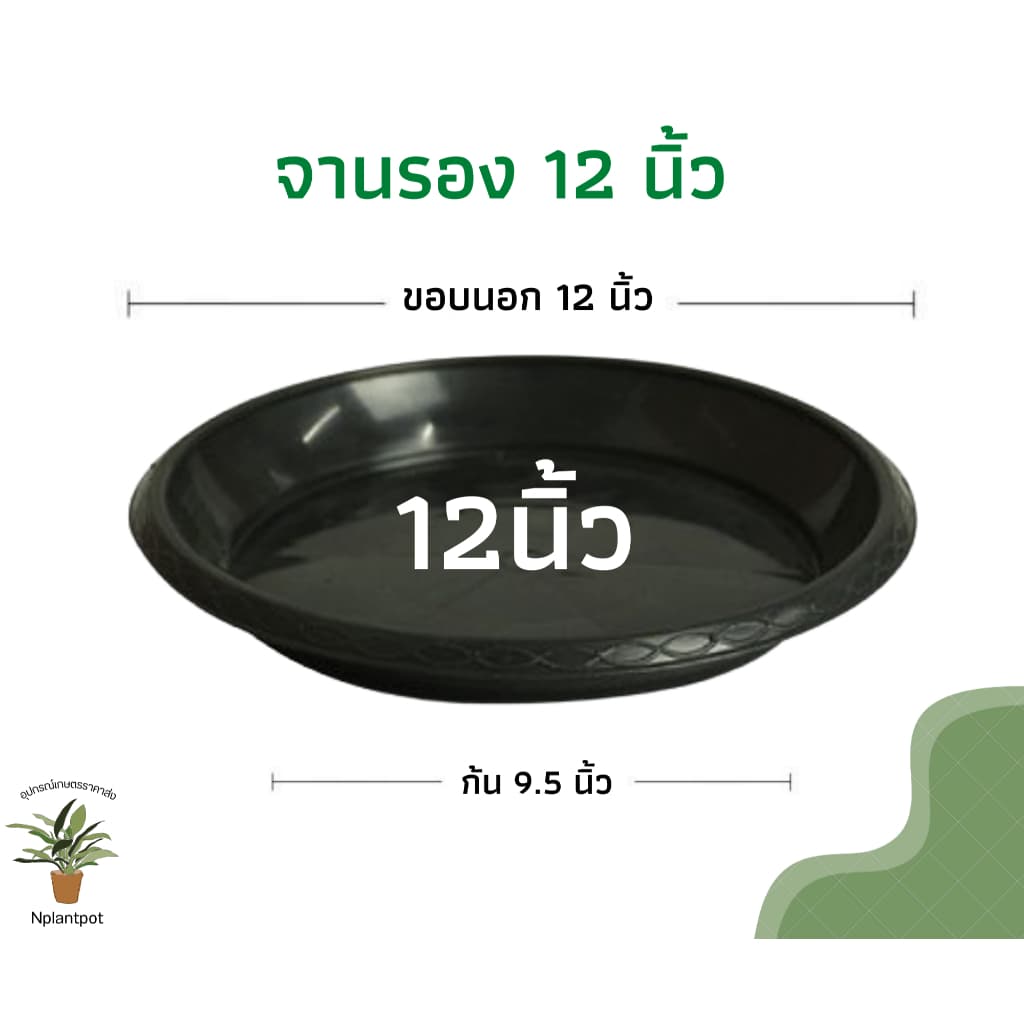 จานรองกระถางต้นไม้ ถาดรองกระถางต้นไม้ จานรองกระถาง จานรองพลาสติก สีดำ 6 นิ้ว 8 นิ้ว 10 นิ้ว 12 นิ้ว 15 นิ้ว 17 นิ้ว รูปที่ 5