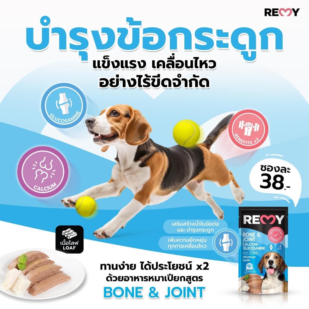 REMY เรมี่ อาหารเปียกสุนัข โลฟปลาทูน่าหน้าปลาเนื้อขาว 1 กล่อง 12 ซอง รูปที่ 2