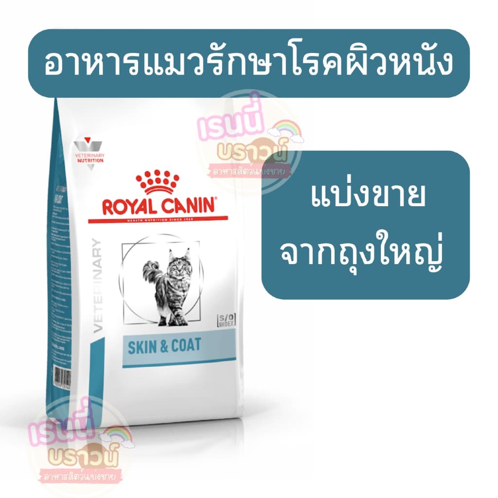 ส่งด่วนมาก ] ] Royal canin skin&coat อาหารแมวรักษาโรคผิวหนัง ชนิดเม็ด รูปที่ 1