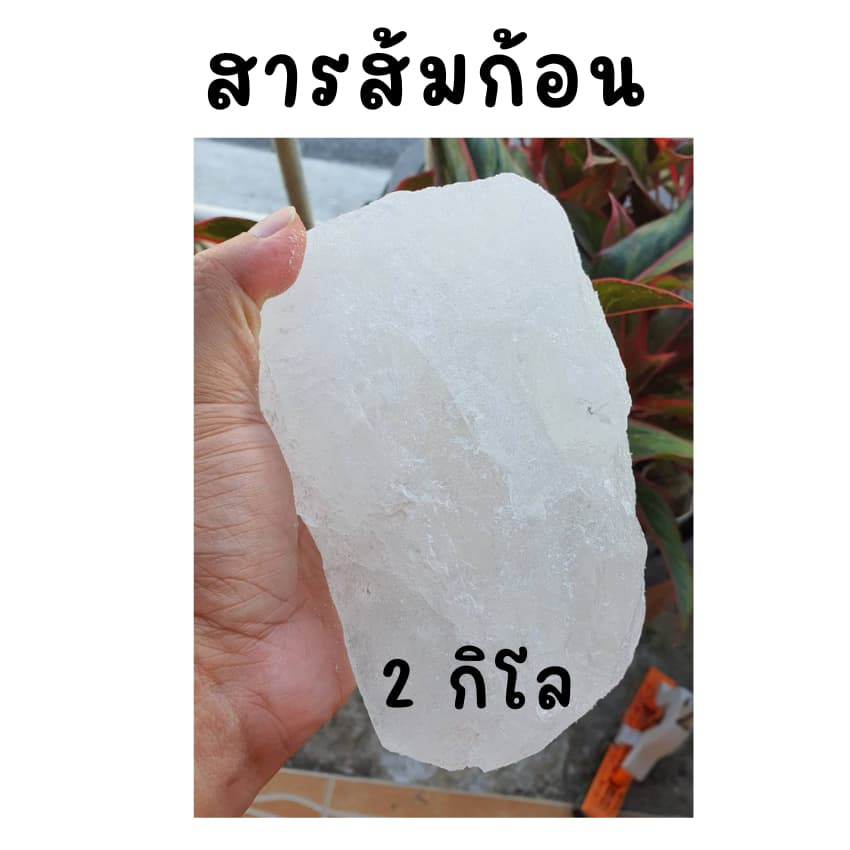สารส้ม 2 กิโลกรัมชนิดก้อน แกว่งน้ำใส ระงับกลิ่นกาย สารแกว่งน้ำ สารส้มละลายน้ำล้างถั่วงอก รูปที่ 1