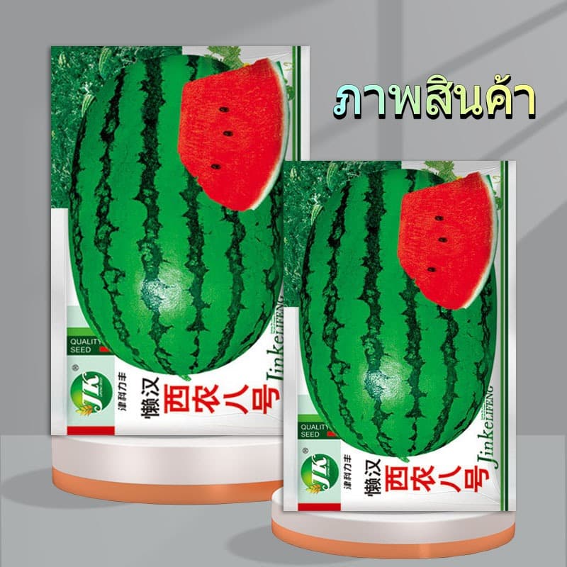 30 เมล็ดเมล็ดพันธุ์แตงโมยักษ์ เนื้อสีแดง หวานสุดๆ ปลูกง่ายลูกโต รูปที่ 5