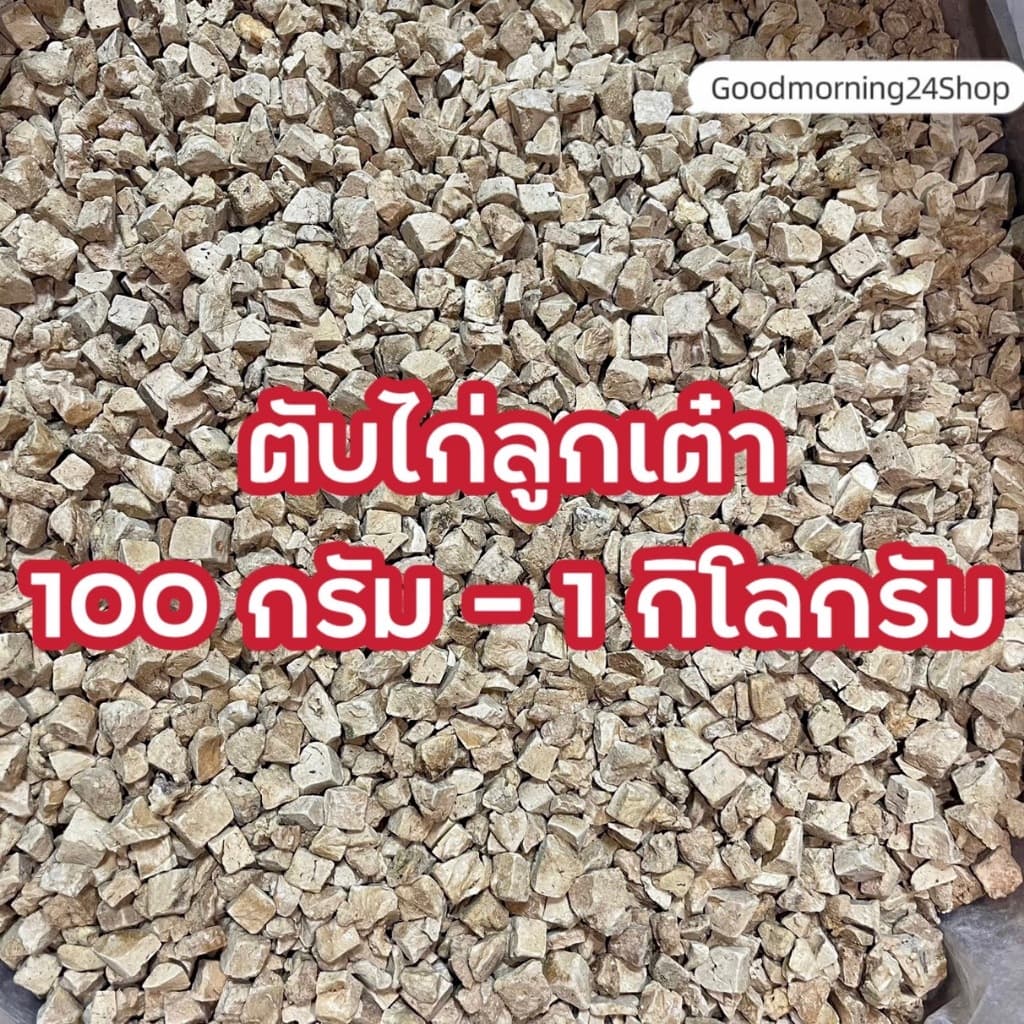 GMN ฟรีซดรายหญ้าแมวลูกเต๋า ขนาด 100กรัม-500กรัม ขนมแมว ขนมหมา สดใหม่ สุดคุ้ม น้ำหนักเต็มปริมาณ ต้นอ่อนข้าวสาลีผสมอกไก่ รูปที่ 4
