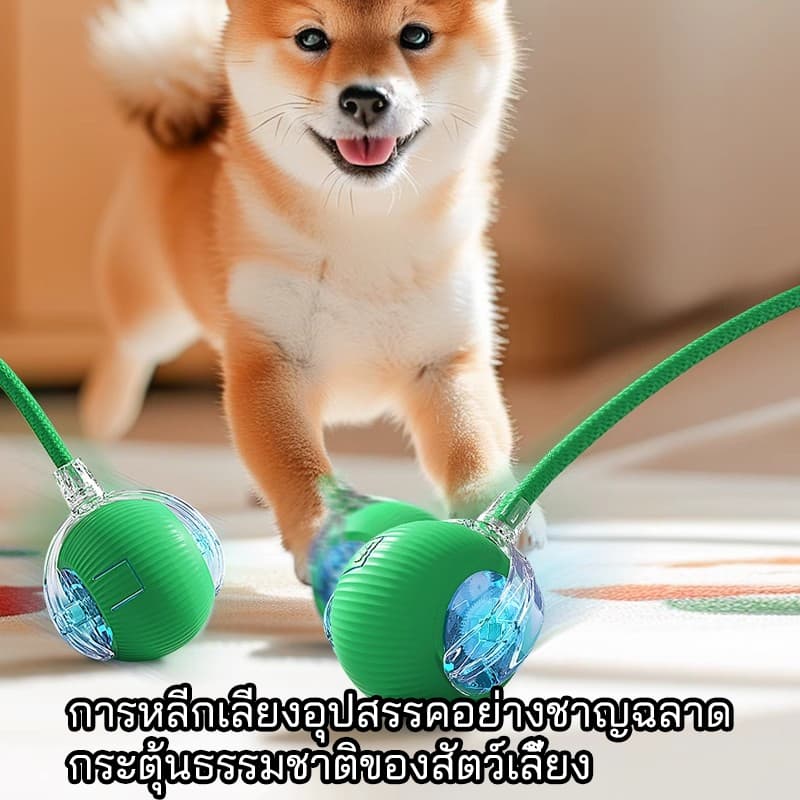 ลูกบอลแมว บอลแมวอัตโนมัติ ของเล่นแมว หมา สัตว์เลี้ยงลูกบอลสุนัข สมาร์ทไฟฟ้า หมุนได้ ของเล่นโต้ตอบ รูปที่ 8