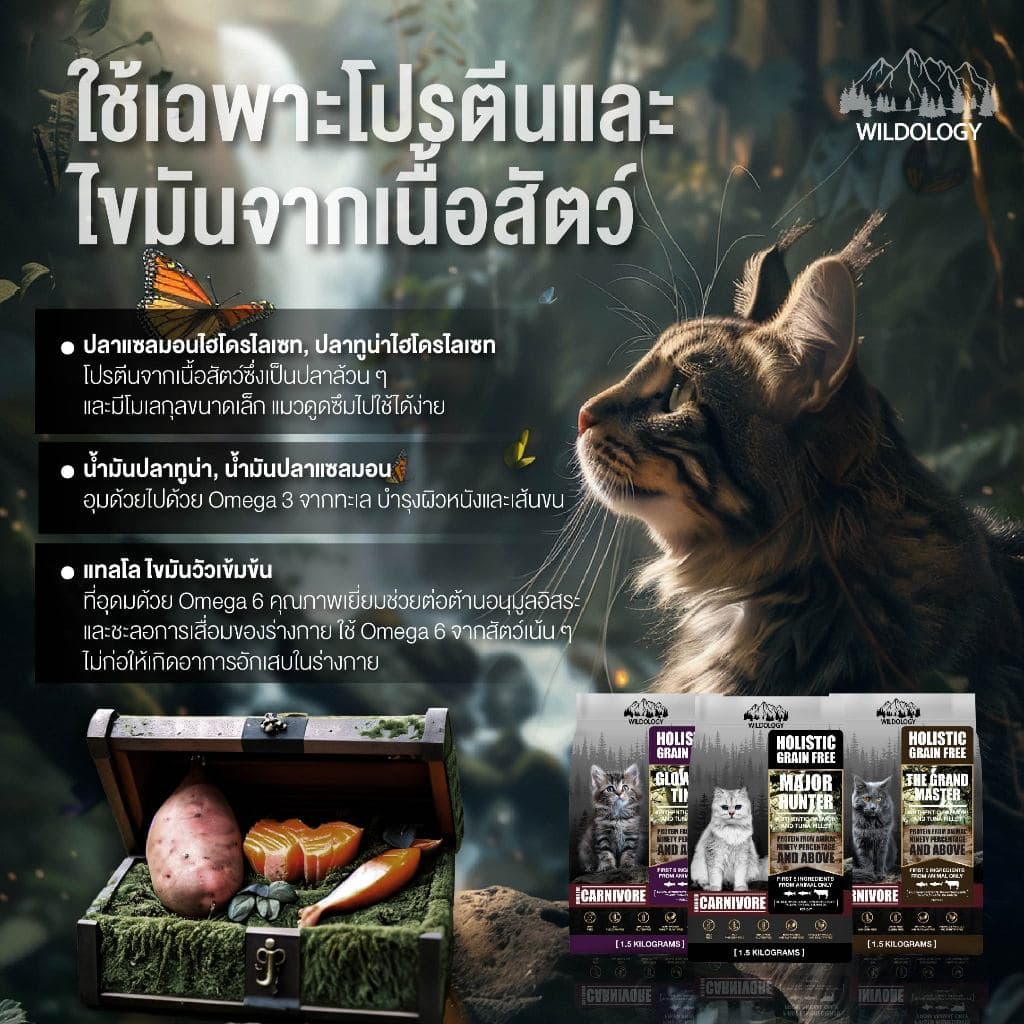 อาหารแมวแบบเม็ด โฮลิสติกเกรนฟรี ไวลด์โอโลจี THE GRAND MASTER สำหรับแมวสูงอายุและแมวโต รูปที่ 8