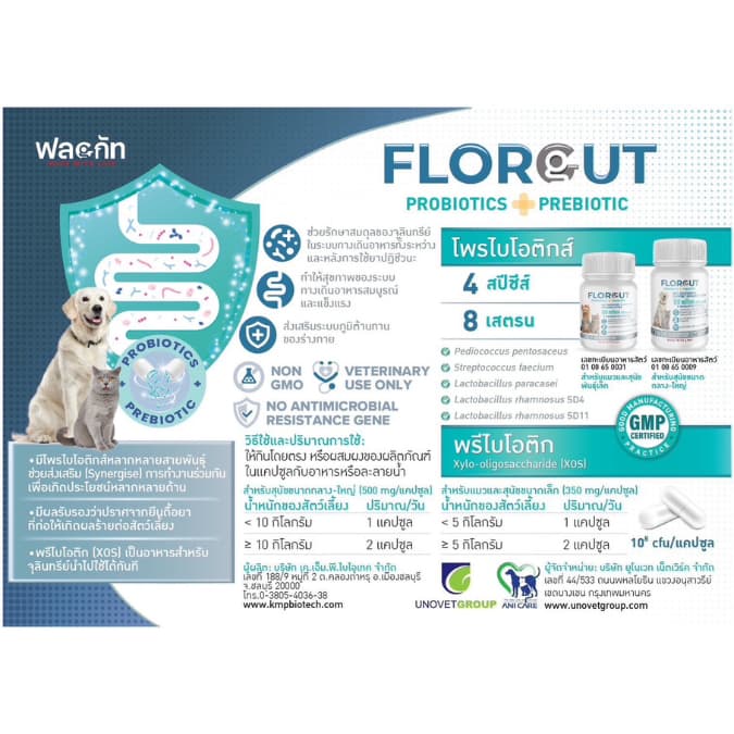 Florgut 30 แคปซูลExp.2028 อาหารเสริมโปรตีน พรีไบโอติกและโพรไบโอติก ปรับสมดุลลำไส้ สำหรับสุนัขและแมว รูปที่ 2