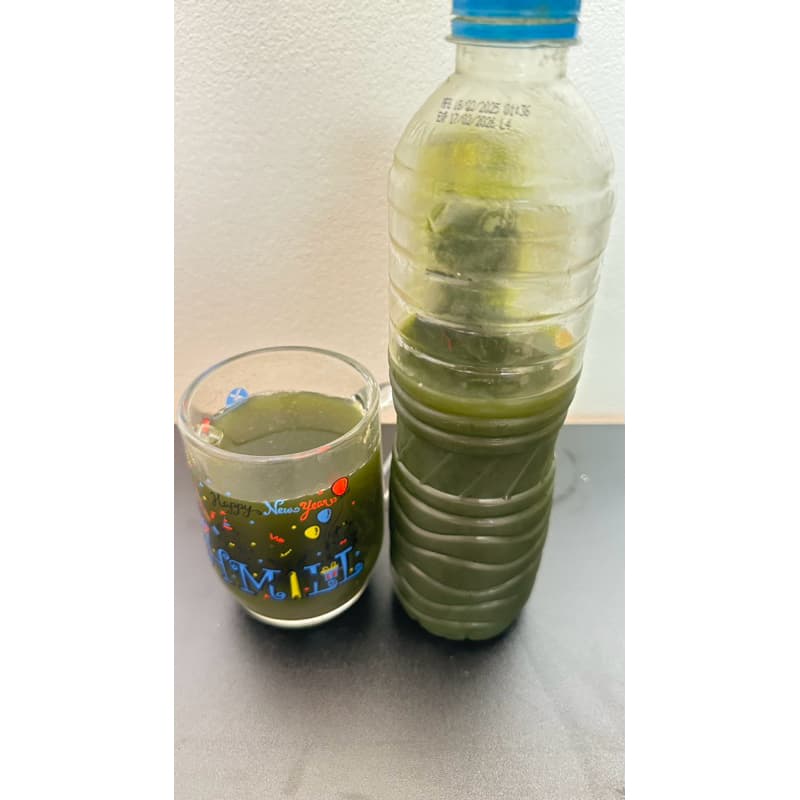 แม่บ้าน น้ำใบย่านางคั้นสด เข้มข้น 600 ML. น้ำย่านาง ใบย่านาง แกงหน่อไม้ แกงอีสาน แกงเห็ด แกงอ่อม ครัวไทย รูปที่ 5