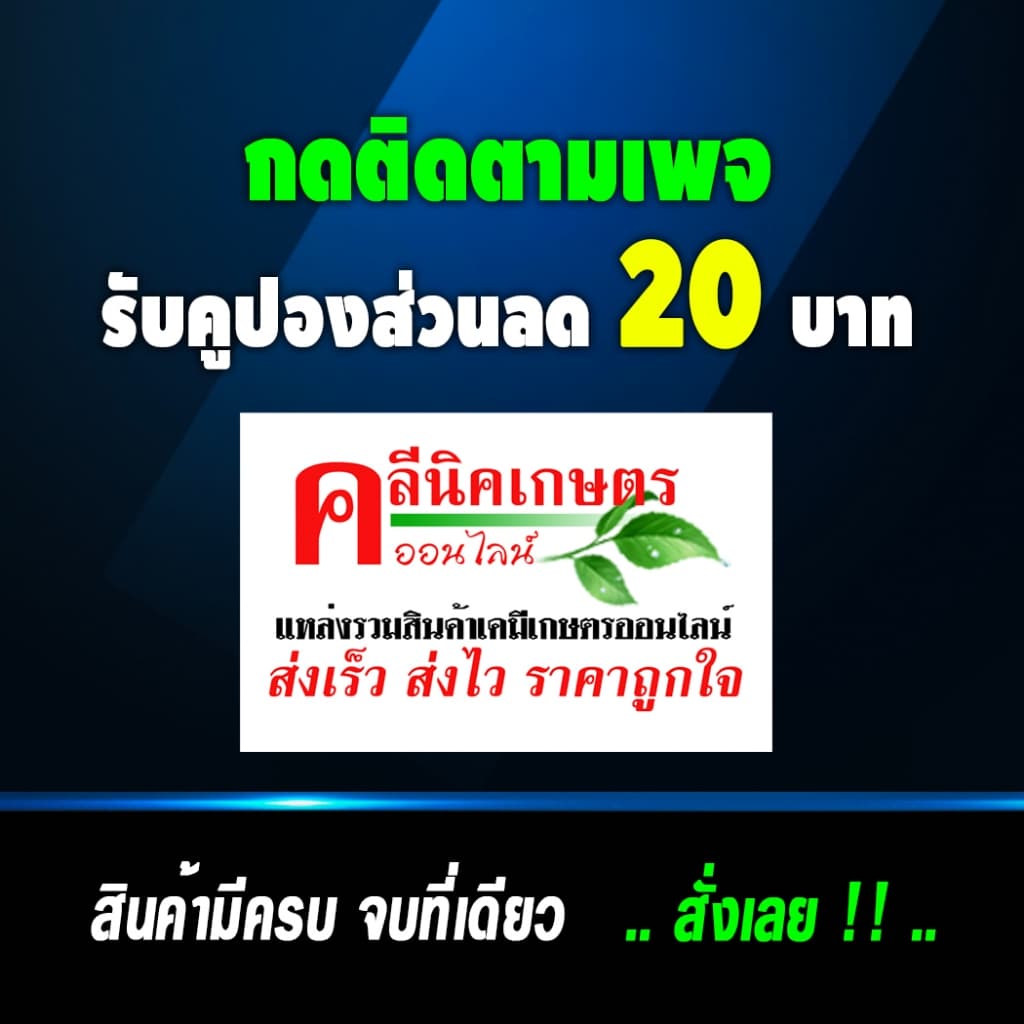 // ขายยกลัง //ไดเอิร์ท-ไดเมโทเอต ป้องกันกำจัดแมลง แมงกะแท้ แมงบิน หนอนเจาะ หนอนกอข้าว รูปที่ 4
