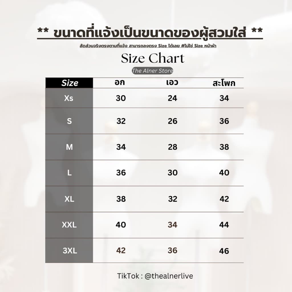 Thealner-AN525 รูปที่ 9