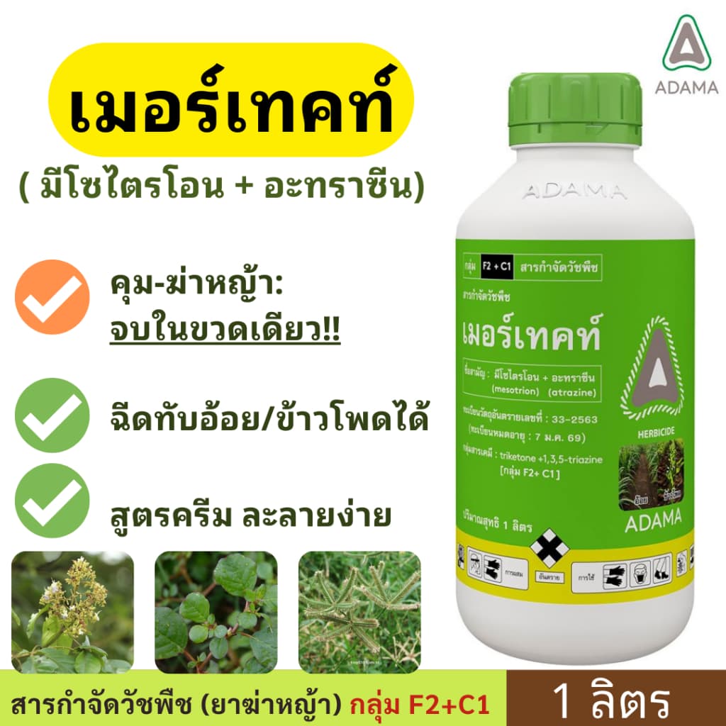 เมอร์เทค / อัลโซซีน 1ลิตร ยาคุมหญ้า - ยาฆ่าหญ้า ใน ข้าวโพด อ้อย คุมฆ่า คุมนาน คาลาริส รูปที่ 1