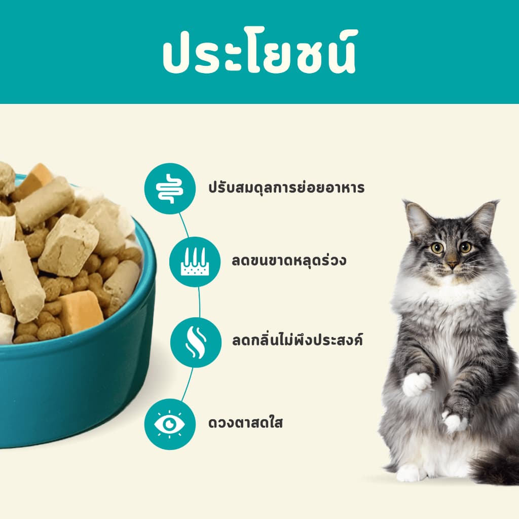 Bite Of Wild P42 อาหารแมว 1KG Grain Free โปรตีน 42% 3 เนื้อฟรีซดราย ไก่ปลาแซลมอนเนื้อปลา สำหรับแมวทุกช รูปที่ 8
