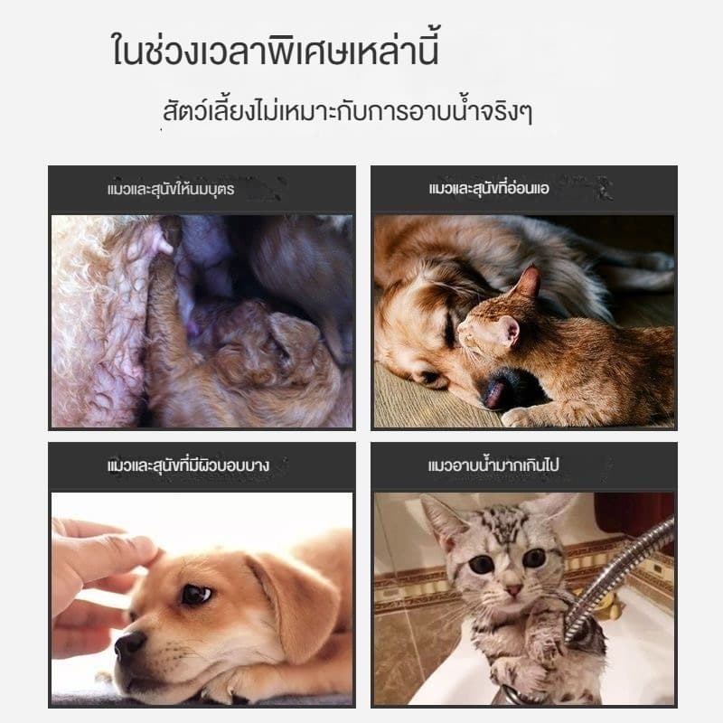ถุงมืออาบน้ำสัตว์เลี้ยง ไม่ระดายเคืองผิว ไม่ต้องล้างน้ำ สัตว์เลี้ยงเลียได้ ปราศจากแอลกอฮอล์ COD รูปที่ 6