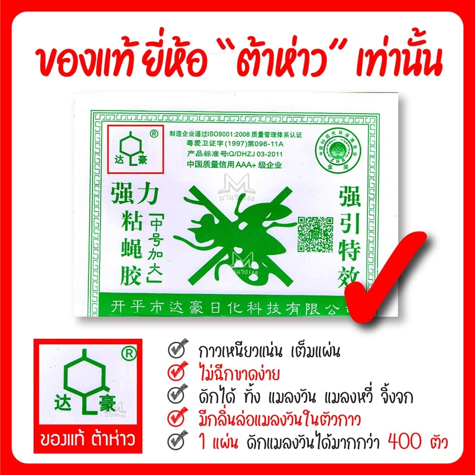 กาวดักแมลงวัน ยกลัง รุ่นกระดาษ แพ็ค ขายดี! รูปที่ 5
