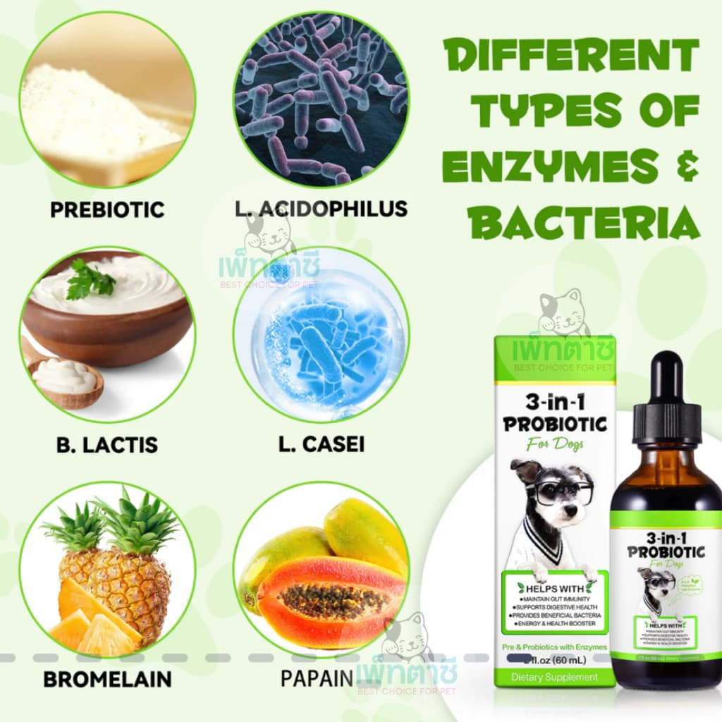 Oimmal 3-in-1 Probiotic โปรไบโอติค สุนัข แมว ระบบย่อย เพิ่มแบคทีเรียดี ท้องเสีย ท้องอืด ปรับลำไส้ รูปที่ 5