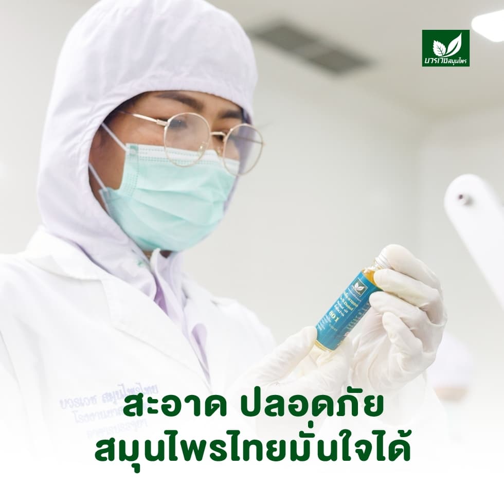 บวรเวชสมุนไพร น้ำมันว่าน 801 หัวลูกกลิ้ง 10 มล | บรรเทาปวดเมื่อย คลายเส้น แก้เคล็ดขัดยอก รูปที่ 7