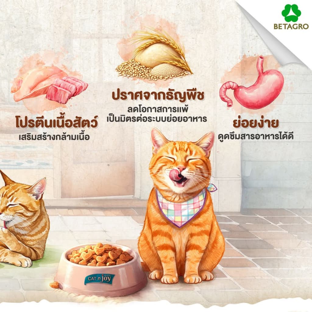 Cat N Joy อาหารแมว สูตรแมวโต อายุตั้งแต่1ปีขึ้นไป เน้นการดูดซึมที่ดี ทานง่าย ควบคุมความเค็ม รูปที่ 3