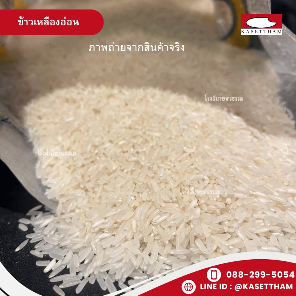 14 กก. ข้าวเหลืองอ่อน นุ่มฟูเย็นไม่แข็งไม่มีเม็ดหัก ข้าวสารตราส้มเขียวหวาน คุณภาพดีราคาโรงสี สั่ง 3 ถุงคุ้มค่าส่ง รูปที่ 4