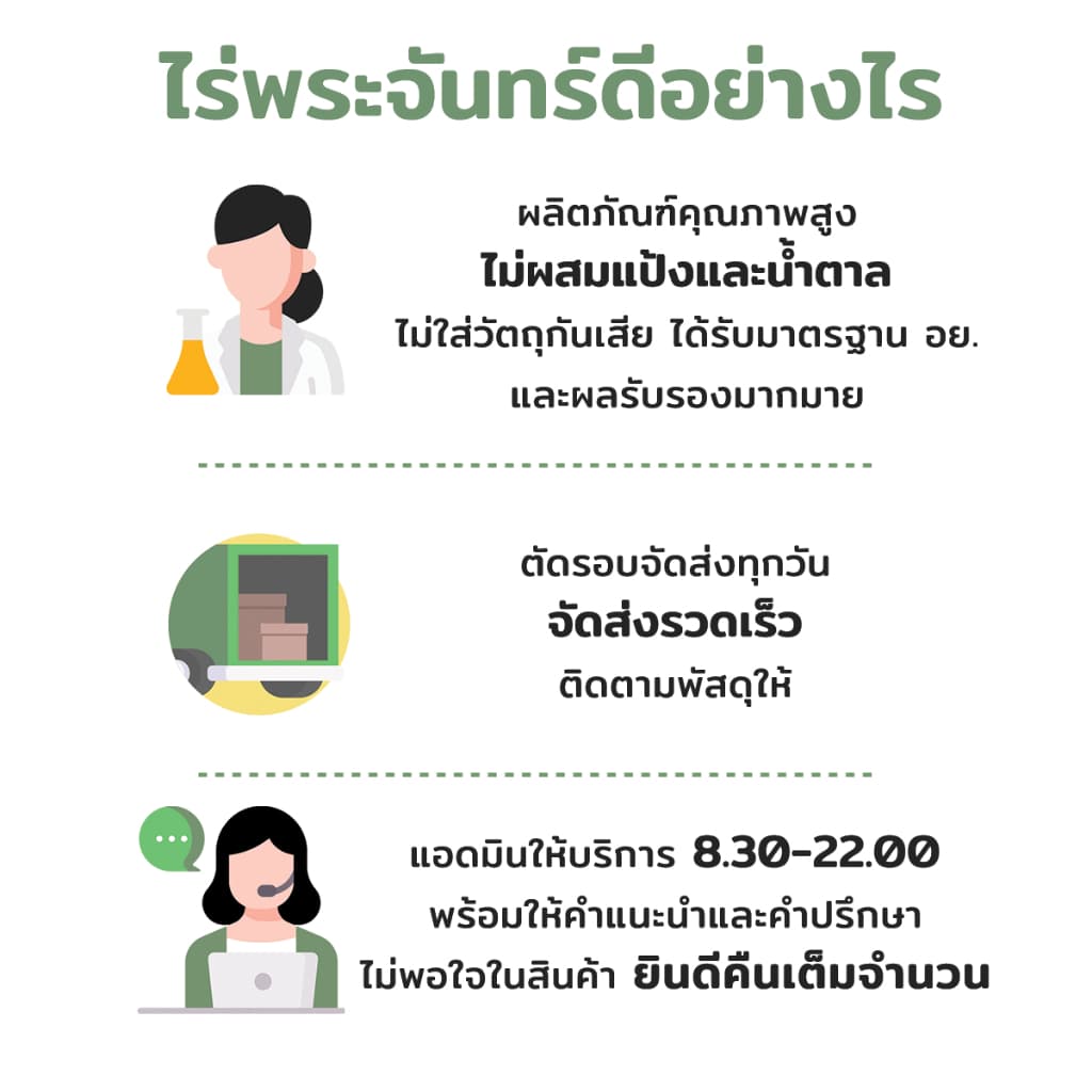 ผงเลม่อน Lemon Freeze Dried มีอย. แท้ ไม่ผสมแป้งและน้ำตาล แบรนด์ไร่พระจันทร์ รูปที่ 2