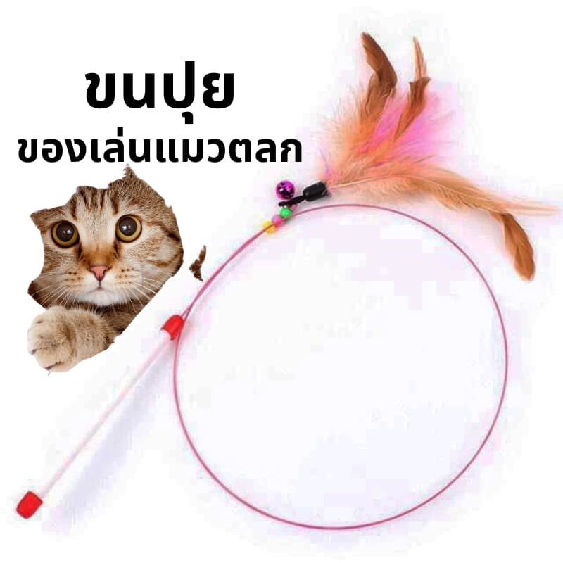 ไม้ตกแมว ของเล่นแมว ไม้แมว ไม้ล่อแมว ขอเล่นแมว ของเล่นเเมว หลากหลายสไตล์ ไว้ล่อแมว คลาดเครียดคลายเหงา รูปที่ 8