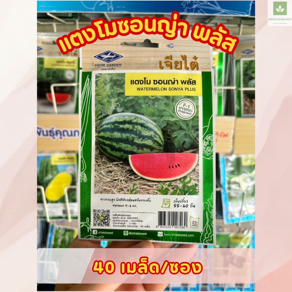 ซองเล็ก มีครบ เมล็ดพันธุ์แตงโม เจียไต๋ ซอนญ่า เมญ่า ทัมอัพ แบล็คบอมบ์ รันรัน แตงโมไร้เมล็ด รูปที่ 2