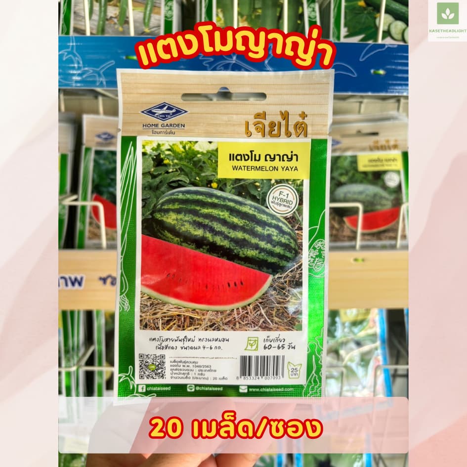 ซองเล็ก มีครบ เมล็ดพันธุ์แตงโม เจียไต๋ ซอนญ่า เมญ่า ทัมอัพ แบล็คบอมบ์ รันรัน แตงโมไร้เมล็ด รูปที่ 6
