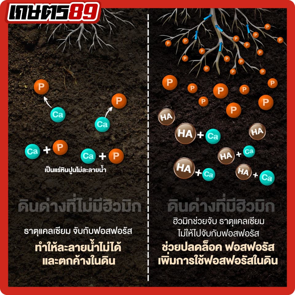 แบล็กเอิร์ธ Black Earth โพแทสเซียมฮิวเมท ฮิวมิกผงเข้มข้นละลายน้ำ ฉีดพ่นทางใบ ฟื้นฟูดิน รากกินอาหารได้มากขึ้น 25กก. รูปที่ 7