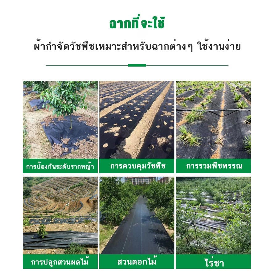 พลาสติกคลุมดิน ผ้าคลุมหญ้า พลาสติกคลุมวัชพืช กำจัดวัชพืช ผ้าคลุมวัชพืช พลาสติกเกรดส่งออก ผสมUV ฆ่าหญ้า ทำเฉพาะคุณภาพ รูปที่ 3