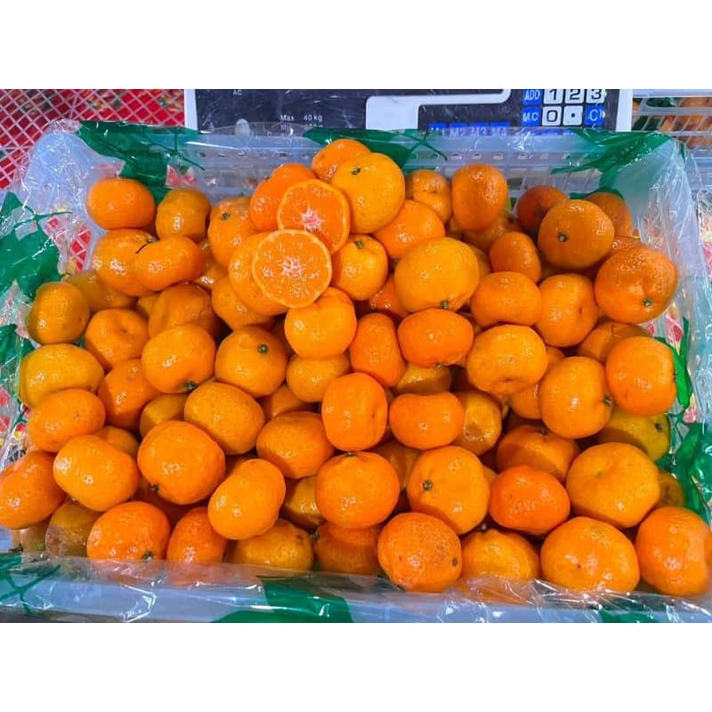 ส้มซาถัง​แท้ 100% หวาน อร่อย รสชาติเข้มข้น ขนาด 500 g. ส้มนำเข้าจากจีน ฤดูกาลใหม่มาแล้วคะ รูปที่ 2