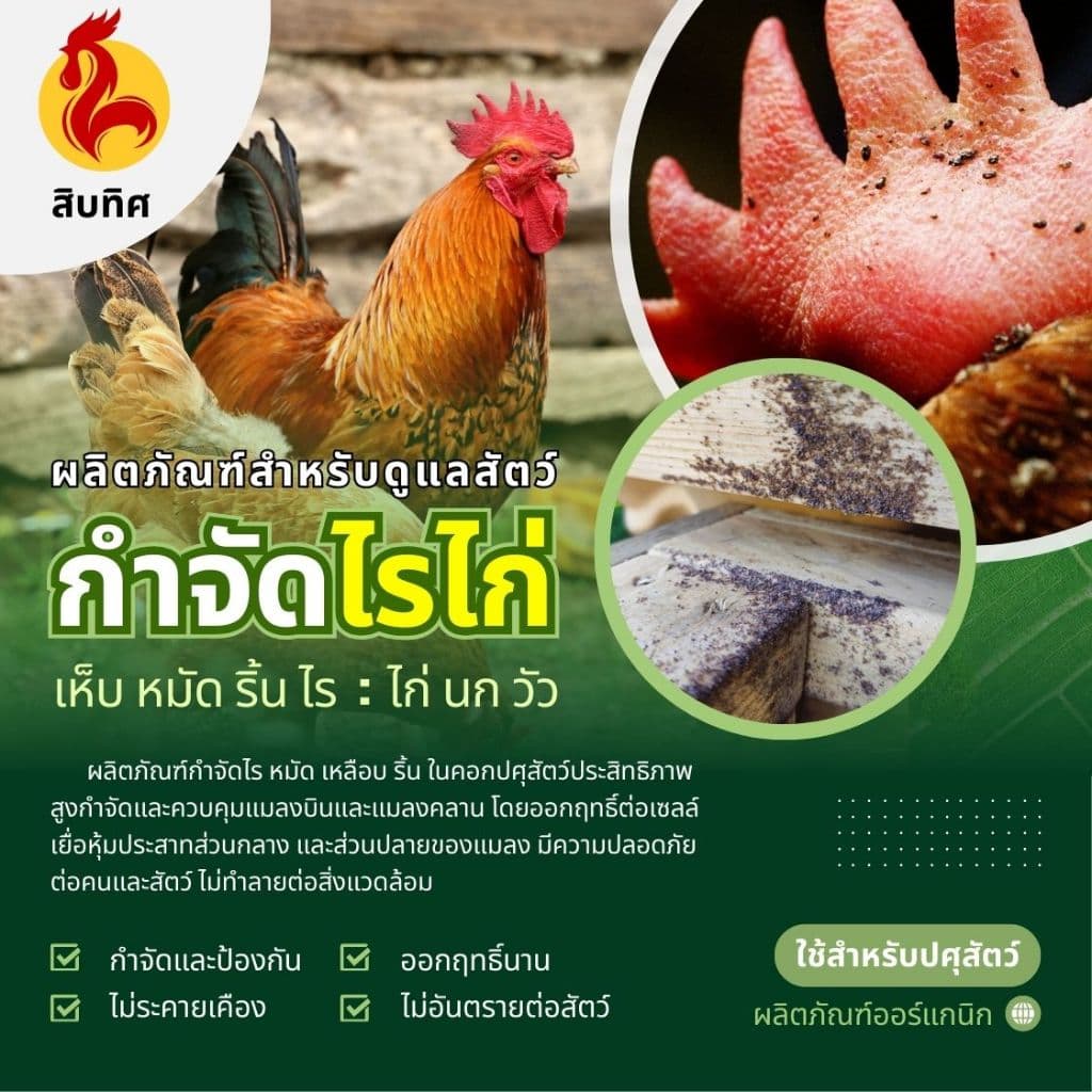 น้ำยากำจัดไรไก่ เห็บ หมัด ลดอาการคัด ป้องกันขนร่วง ไล่ยุง ไล่แมลง กำจัดเห็บหมัด ออแกนิค ปลอดภัยต่อสัตว์เลี้ยงและผู้ใช้ รูปที่ 3