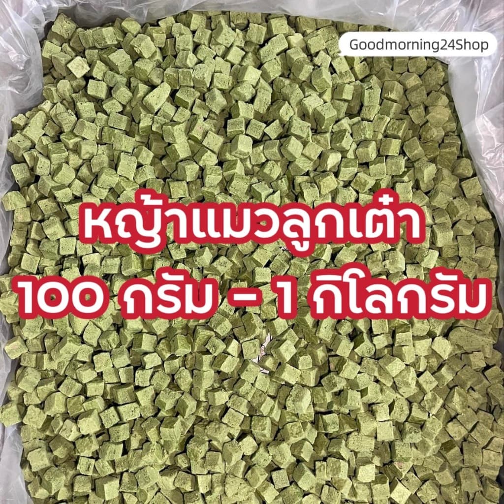 GMN ฟรีซดรายหญ้าแมวลูกเต๋า ขนาด 100กรัม-500กรัม ขนมแมว ขนมหมา สดใหม่ สุดคุ้ม น้ำหนักเต็มปริมาณ ต้นอ่อนข้าวสาลีผสมอกไก่ รูปที่ 1