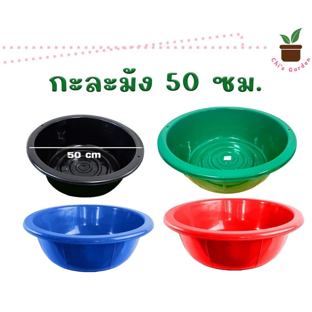 กะละมัง ขนาด 50 ซม. กะละมังพลาสติก กะละมังซักผ้า มีทั้งหมด 4 สี รูปที่ 1
