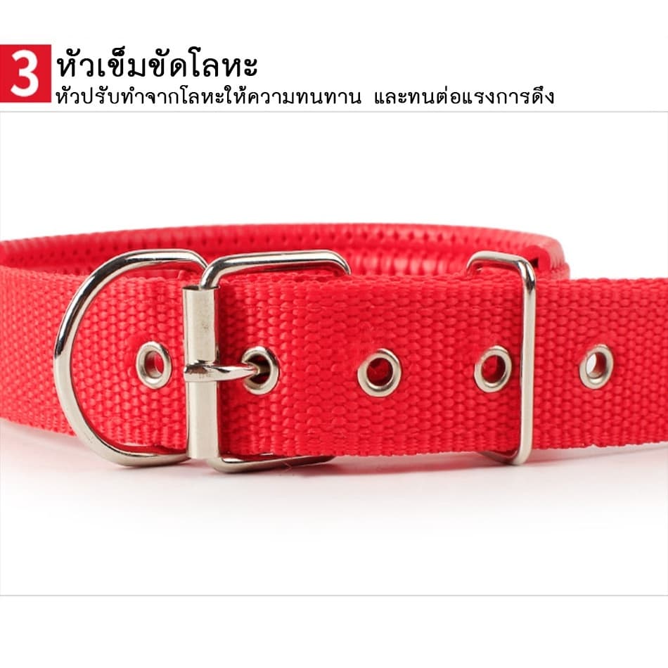 PET LIFE ปลอกคอสัตว์เลี้ยง ปลอกคอสุนัข ปลอกคอแมว แบบไนล่อน มี 4 ขนาด 4 สีให้เลือก แบบไนล่อน รูปที่ 6