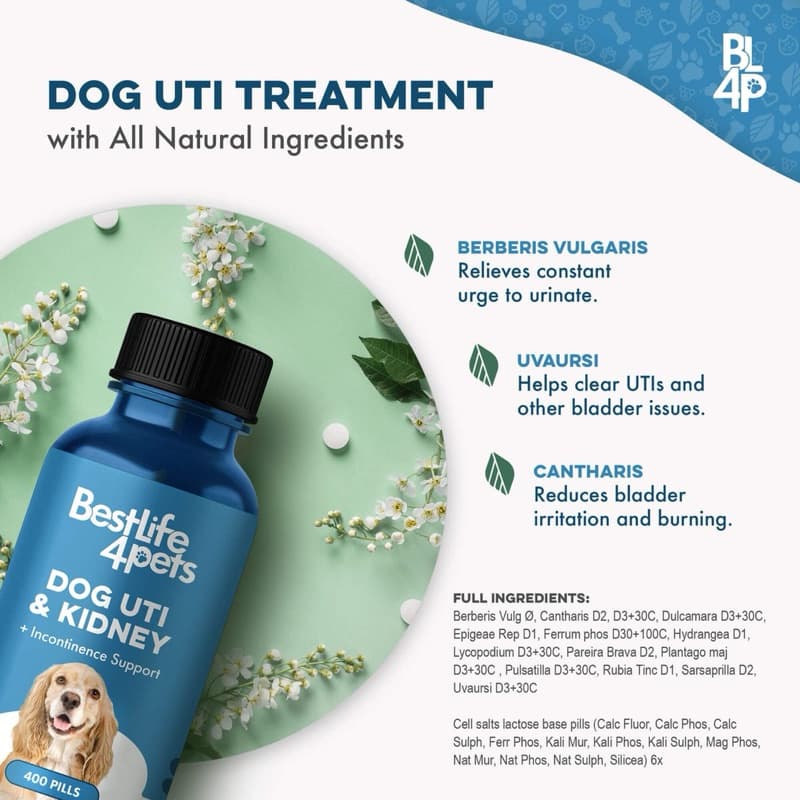 วิตามิน อาหารเสริม สุนัข แมว หมา Urinary Tract ทางเดินปัส สาวะ ฉี่ไม่ออก ลดอาการเบ่งฉี่ นิ่ว ระบบไต สำหรับแมว รูปที่ 3