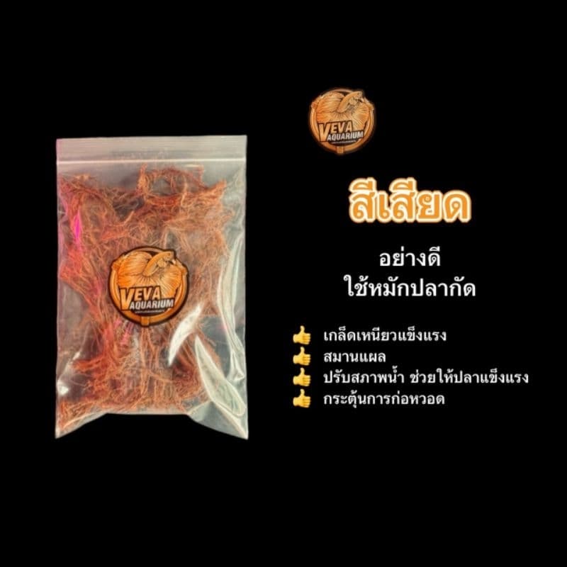 สีเสียด เหมาะสำหรับหมักปลากัดโดยเฉพาะ รูปที่ 1