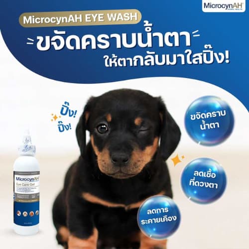 MicrocynAH Eye Wash 120 mlExp.2028 น้ำยาทำความสะอาดดวงตา ลดเยื่อบุตาอักเสบ คราบน้ำตา ระคายเคือง รูปที่ 3