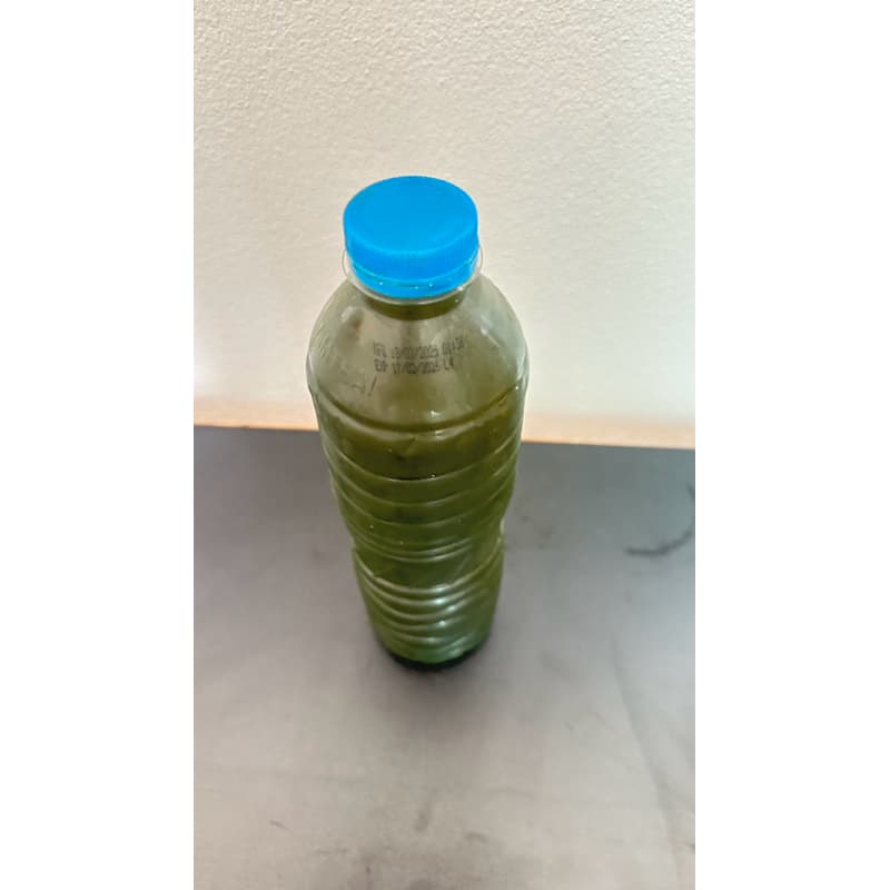แม่บ้าน น้ำใบย่านางคั้นสด เข้มข้น 600 ML. น้ำย่านาง ใบย่านาง แกงหน่อไม้ แกงอีสาน แกงเห็ด แกงอ่อม ครัวไทย รูปที่ 3