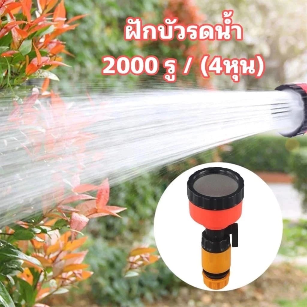 จัดส่งที่รวดเร็วฝักบัวรดน้ำ 2000 รู และ 1000 รู ขนาด 4หุน,5-6หุน ฝักบัวรดน้ำแคคตัส ฝักบัวรดน้ำบอนไซ ฝักบัวรดน้ำต้นไม้ รูปที่ 6