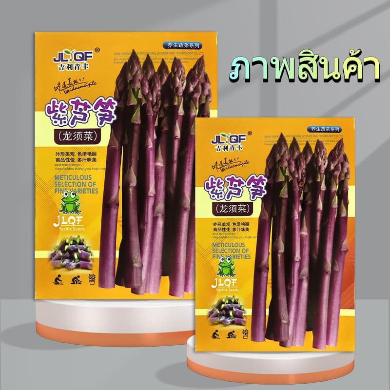 10 เมล็ดเมล็ดพันธุ์หน่อไม้ฝรั่งสีม่วง อเมริกันเมล็ดหน่อไม้ฝรั่งสีม่วง!!งอกง่าย โตไวพุ่มใหญ่ทานอร่อย รูปที่ 7