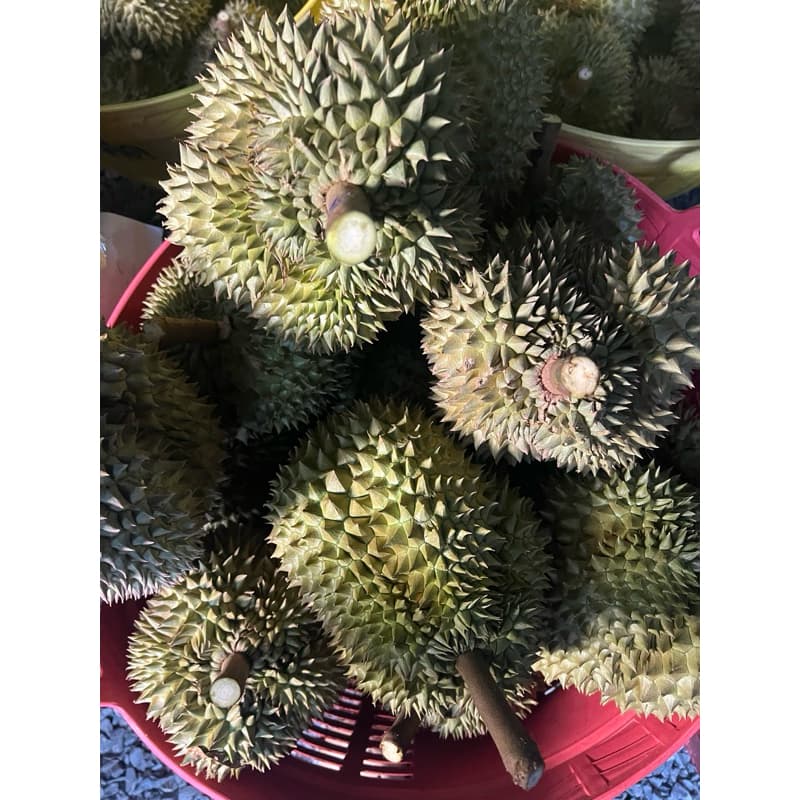 ยอดสั่งซื้อเยอะสุด! ทุเรียนหมอนแท้ ออแกรนิค 100% มีให้เลือกจะเลือกสวยๆให้น้ำหนักเลือกได้ เก็บเงินปลายทาง รูปที่ 4