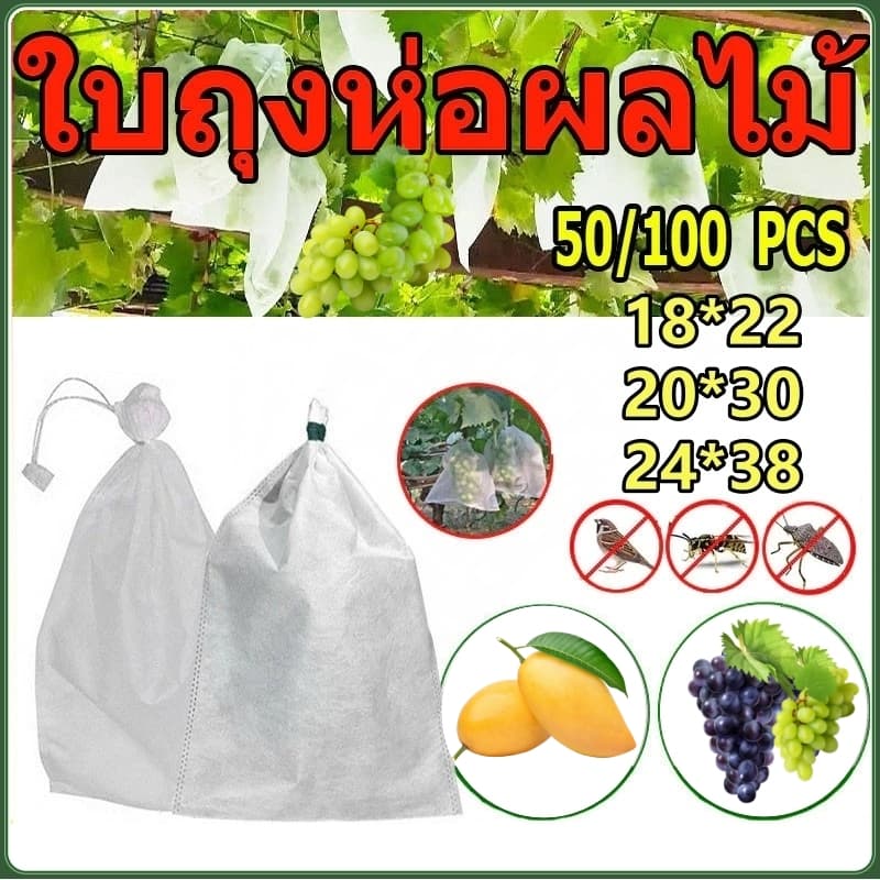 100 ใบถุงห่อผลไม้ ถุงห่อมะม่วง ใช้ห่อกันแมลง เพลี้ย แสงแดด ถุงห่อฝรั่ง ถุงใส่ยาไล่แมลง 20x30 ซ.ม.ถุงห่อผลไม้กันแมลง รูปที่ 1
