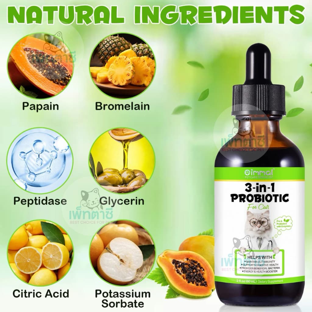 Oimmal 3-in-1 Probiotic โปรไบโอติค สุนัข แมว ระบบย่อย เพิ่มแบคทีเรียดี ท้องเสีย ท้องอืด ปรับลำไส้ รูปที่ 6