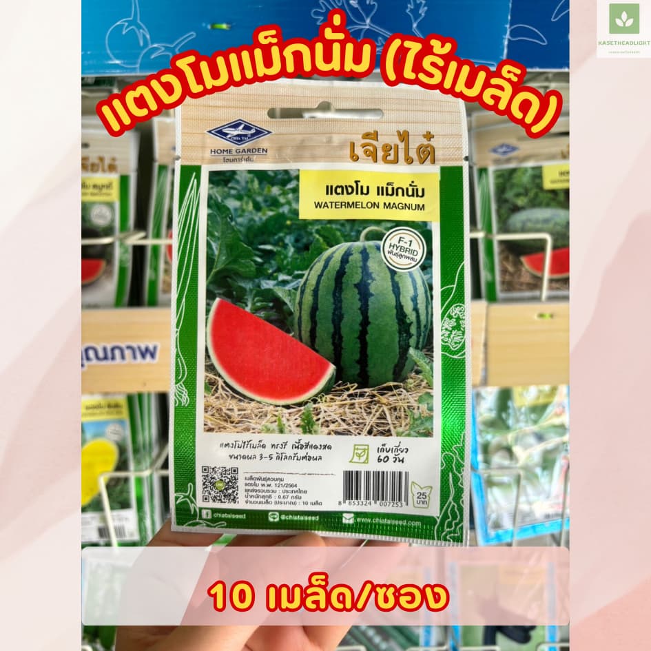 ซองเล็ก มีครบ เมล็ดพันธุ์แตงโม เจียไต๋ ซอนญ่า เมญ่า ทัมอัพ แบล็คบอมบ์ รันรัน แตงโมไร้เมล็ด รูปที่ 7