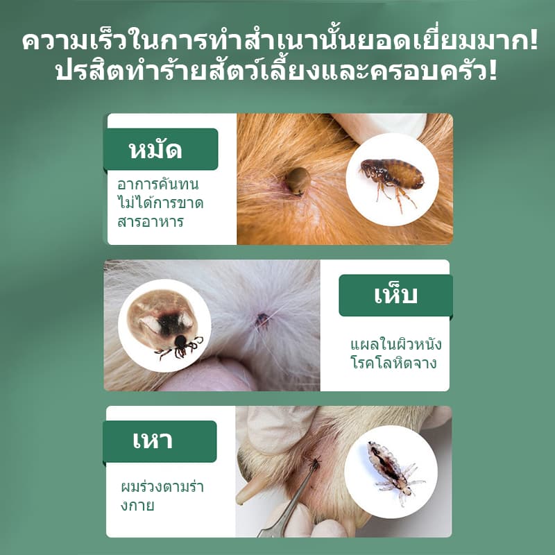 เสียชีวิต 100% ยาฆ่าเห็บหมัด สเปรย์กำจัดเห็บ กำจัดเหาไรเห็บ หมัด การฆ่าหมัดใน1 วิ ไม่ทำร้ายสัตว์เลี้ย 300ml ส่วนผสมจาก รูปที่ 3