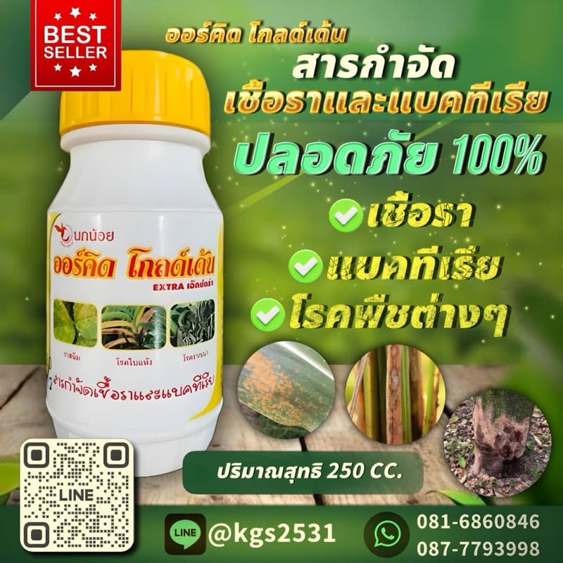 กำจัด เชื้อรา แบคทีเรีย โรคพืชต่างๆ ออร์คิด รับประกันคุณภาพ ธรรมชาติปลอดภัย100% รูปที่ 1