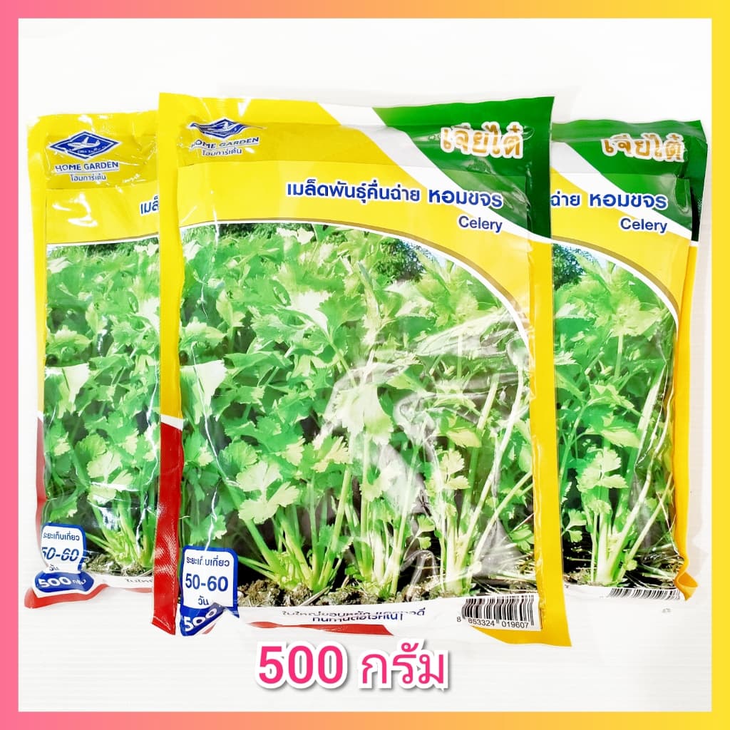 เมล็ดพันธุ์คื่นฉ่าย หอมขจร 500 กรัม ตราเจียไต๋ คื่นฉ่ายหอมขจร รูปที่ 2