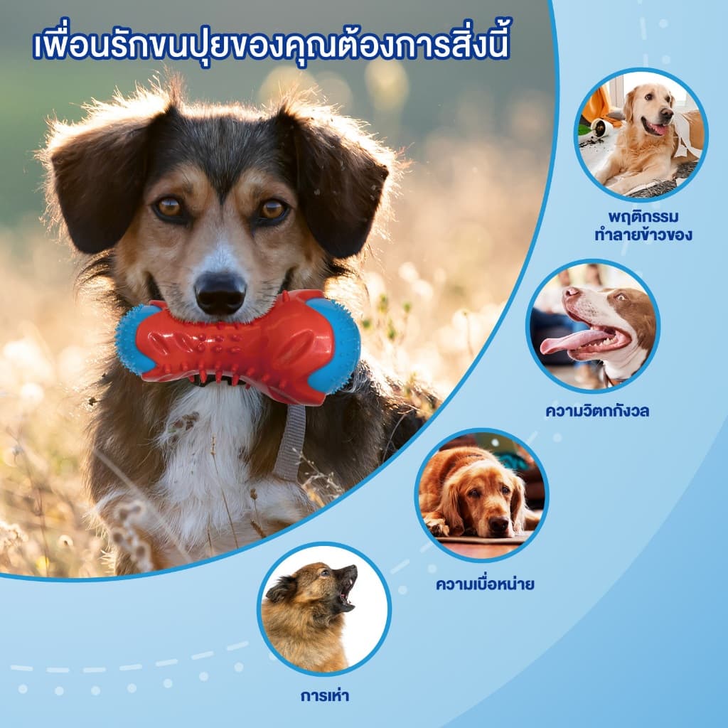 MOMOVIDA ของเล่นสัตว์เลี้ยง ของเล่นยางกัด ของเล่นให้อาหารสัตว์ ทนต่อการกัด ช่วยขัดฟัน ฝึกทักษะ ของเล่นสุนัข รุ่น DF-1 รูปที่ 3