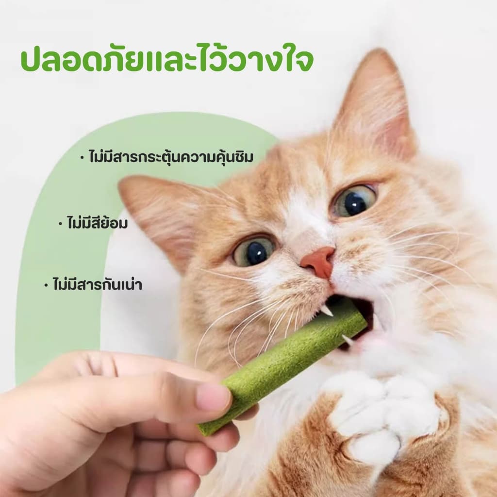 หญ้าแมวฟรีซดราย หญ้าแมวแห้ง ต้นอ่อนข้าวสาลี หญ้าแมวแท่ง ขนมหญ้าแมว ผลิตจากต้นอ่อนข้าวสาลี รูปที่ 6
