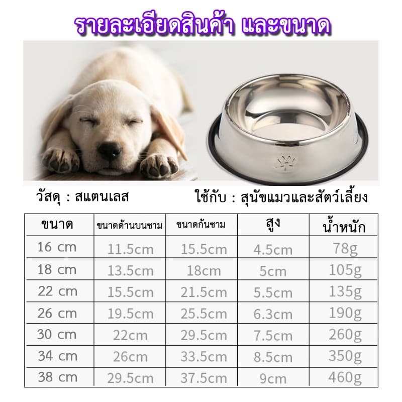 PET LIFE ชามอาหารสแตนเลส ชามอาหารสัตว์เลี้ยง ถ้วยอาหารหมา ชามอาหารแมว ฐานที่มั่นคงพร้อมออกแบบกันลื่น รูปที่ 9