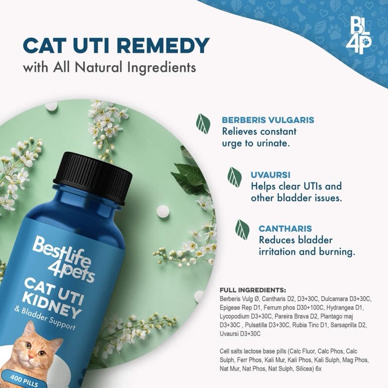 วิตามิน อาหารเสริม สุนัข แมว หมา Urinary Tract ทางเดินปัส สาวะ ฉี่ไม่ออก ลดอาการเบ่งฉี่ นิ่ว ระบบไต สำหรับแมว รูปที่ 2