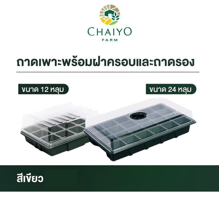 ถาดเพาะพร้อมฝาครอบและถาดรอง ขนาด 12 และ 24 หลุม สีเขียว