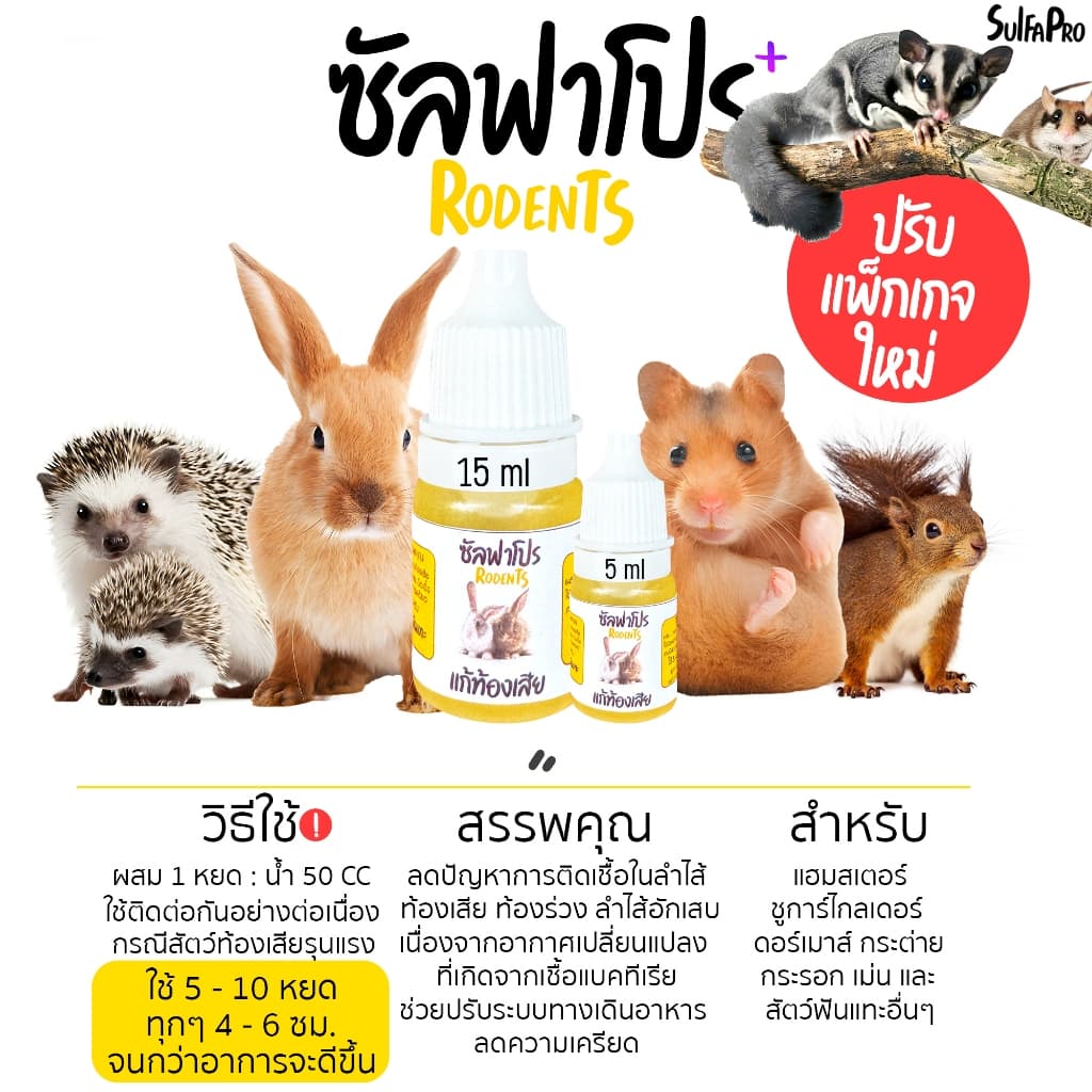 อาหารกระต่าย ชูก้าร์ เม่น กระรอก แฮมเตอร์ สัตว์อื่นๆ เเบบผสมน้ำดื่ม อร่อยพร้อมเสริมภูมิ เเละบำรุง รูปที่ 5